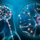 Cerebro neuronas imagen