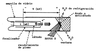 Evento 3 Estructura del tubo_ Evolución del tubo