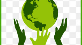 Timeline: Avances de la economia solidaria