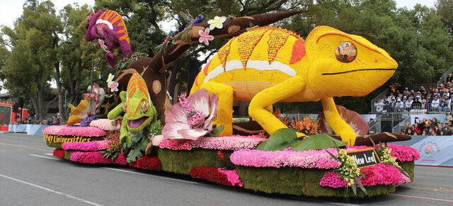 Desfile de las Rosas