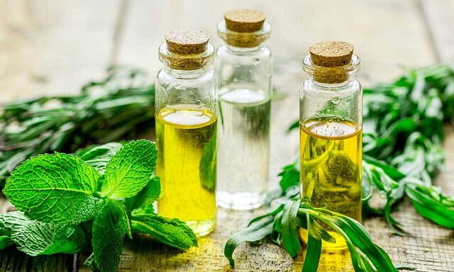 La medicina natural o naturopatía