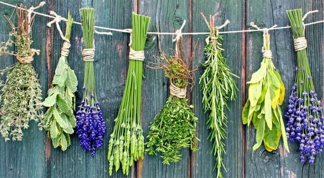 1890 Medicina natural: