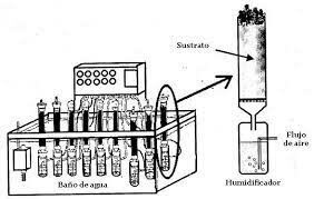 Biorreactor en Columna