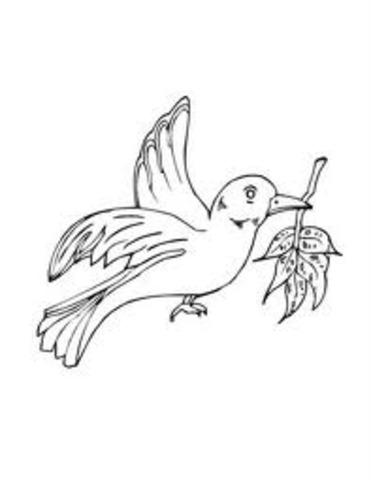 Olive Branch Petition