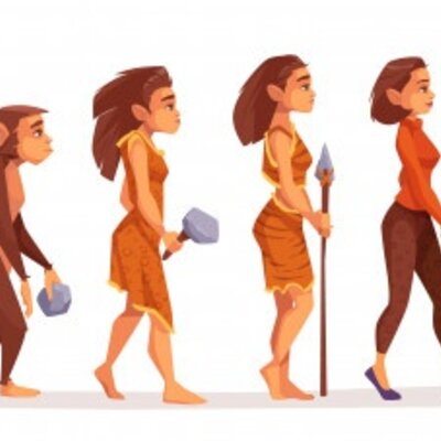 Timeline: Timeline Simple Past Vs Present Perfect