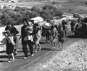 Resolucion 771 de 1992