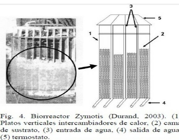 Biorreactor "Zymotis"