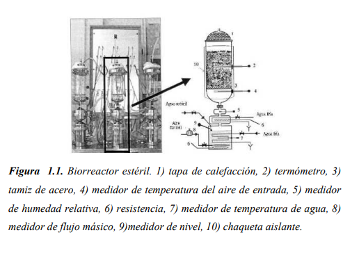 Biorreactor de Columna Estéril
