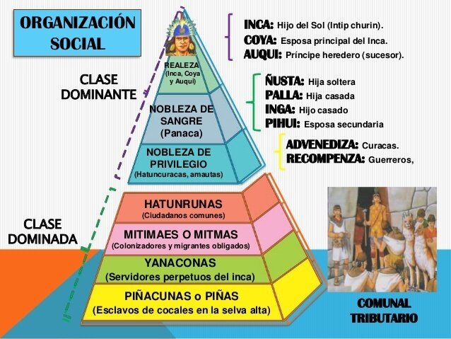 Organización Social
