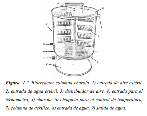 Biorreactor en "columna-charola".