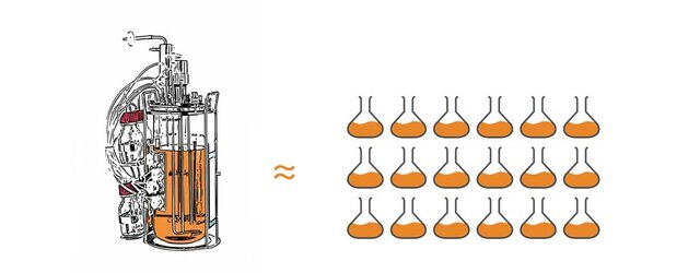 Nueva era de la fermentación