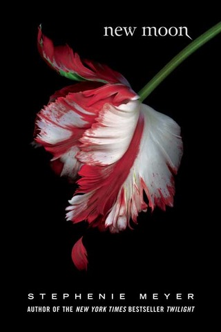 Stephanie's second book, New Moon comes out.