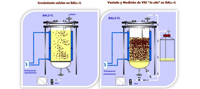 Cultivo de células vegetales en suspensión