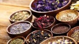 Timeline: Desarrollo histórico de terapias naturales