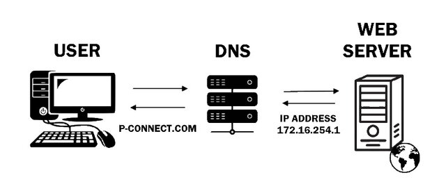 Domain Name System (DNS) is created