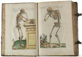 Vesalio revisa los principios de Galeno