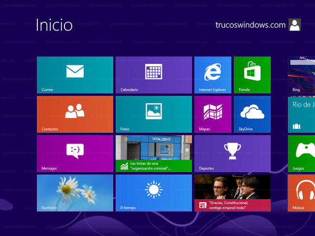 windows 8