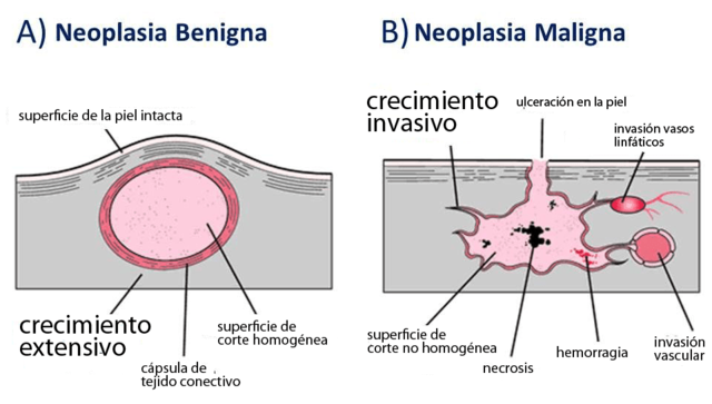 EVENTO 4 APLICACIONES DESDE 1895 HASTA NUESTROS DIAS DE LA RADIACION IONIZANTE