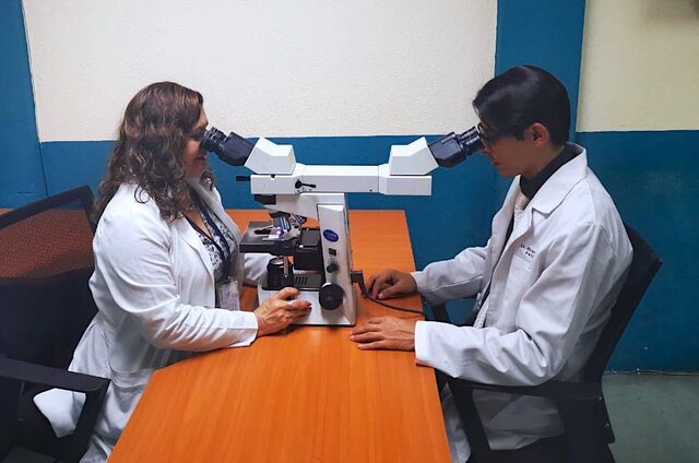 Análisis de síntomas patológicos