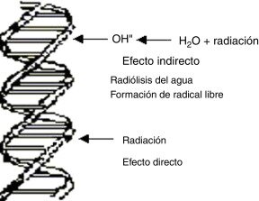 EVENTO 3 EFECTOS BIOLOGICOS DE LA RADIACION