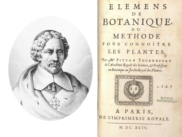 TAXONOMIA DE LAS ENFERMEDADES