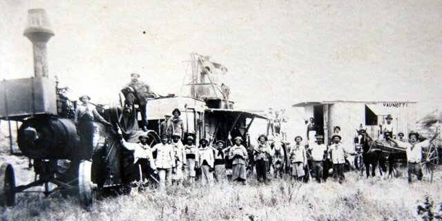 ☼☼  Modelo Agroexportador en México ☼☼