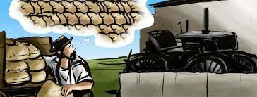 Modelo agroexportador en México