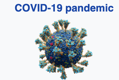 COVID-19 Pandemic Leads to Online Schooling