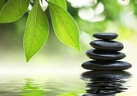 MEDICINA ALTERNATIVA ACTUALMENTE