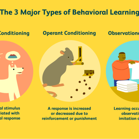 B.F. Skinner and Human Learning
