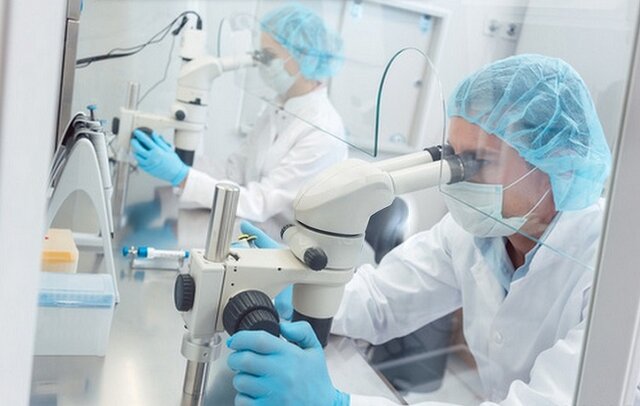 LABORATORIO DE HARVARD