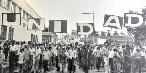 Almeida, P. (2020). Movimientos sociales: la estructura de la acción colectiva.