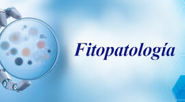 Timeline: Historia de la Fitopatologia_ MARCO FIDEL CRUZ