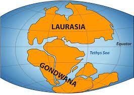 Se forman Laurasia y Gondwana