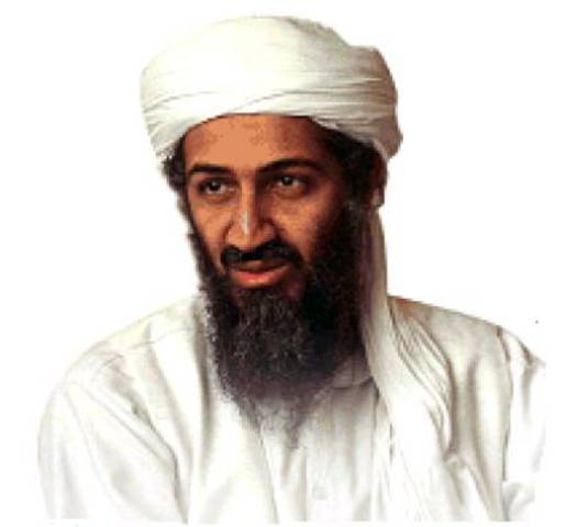 Osama bin laden dead
