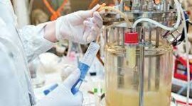 Timeline: Línea de tiempo sobre el desarrollo histórico de biorreactores