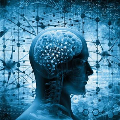 Timeline: Historia de la Bioética