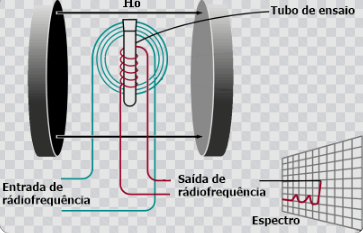 Primera imagen bidimensional