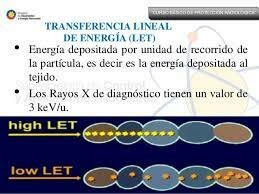 Transferencia Lineal de Energía