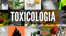 Timeline: ORIGEN E HISTORIA DE LA TOXICOLOGÍA
