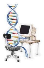 Uso de las herramientas computacionales