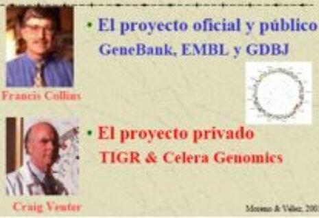 El proyecto genoma y la genómica