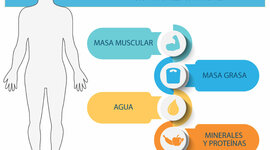 Timeline: Evaluación de la composición corporal