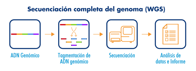 Secuencias del genoma