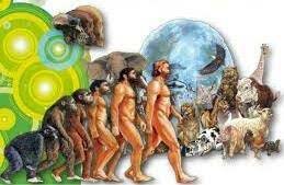 Finales del siglo XIX y siglo XX