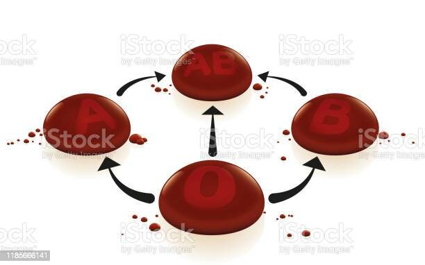 Se originan los términos donador y receptor universal