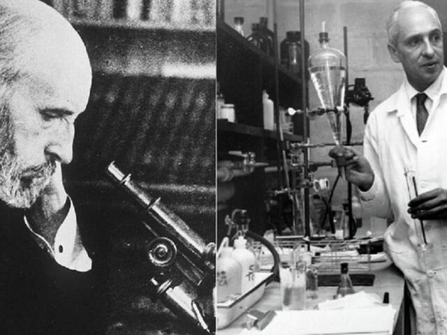 DOMINIO DEL LABORATORIO DE HARVARD