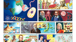 Timeline: Línea del tiempo - Descubriendo la Biología desde sus inicios
