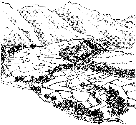 Se constituyó la Comisión Mundial del Medio Ambiente y el Desarrollo