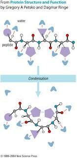Primera base de datos computadorizada
